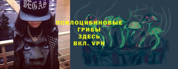 индика Лихославль