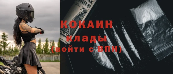дживик Александровское