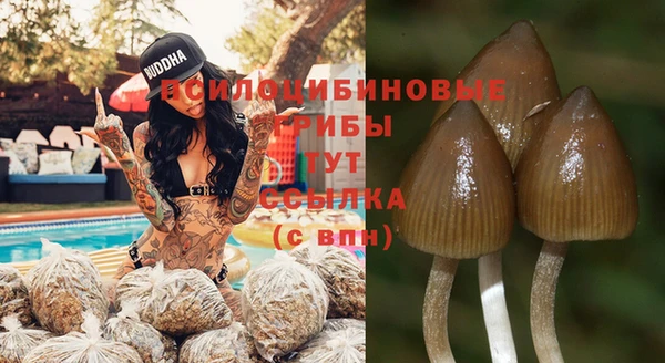 a pvp Липки