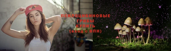 индика Лихославль