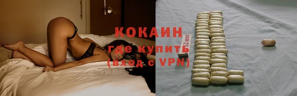 индика Лихославль