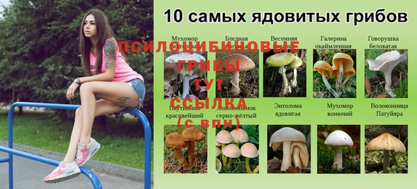 индика Лихославль