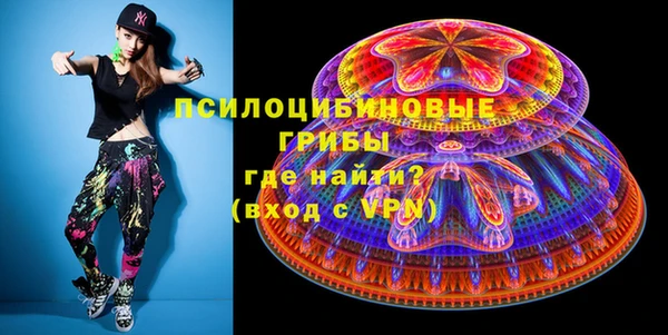 индика Лихославль