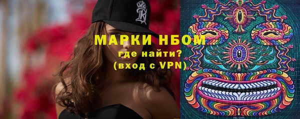 индика Лихославль