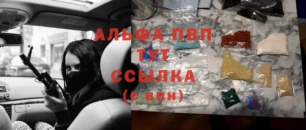 индика Лихославль