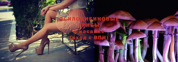 индика Лихославль