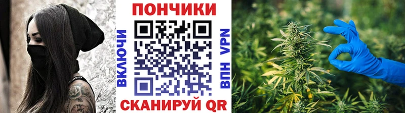 купить   Новотитаровская  MEGA tor  Бошки Шишки индика 